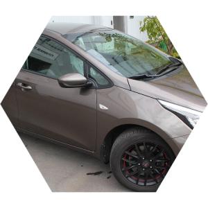 коричневый Сид на улице