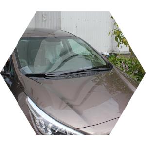 коричневый Сид на улице