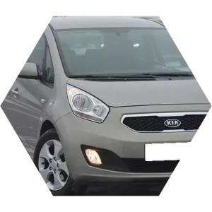 Венга на улице