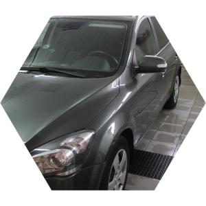 серый Сид в автосервисе