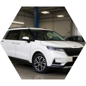 Киа Карнивал после диагностики в автотехцентре