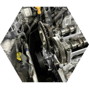 Замена цепи ГРМ Киа Карнивал