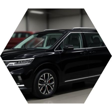 Киа Карнивал после замены тормозной жидкости в автотехцентре